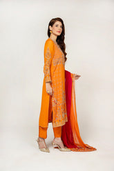3 Piece Chiffon Embellished Suit  (AA5363)